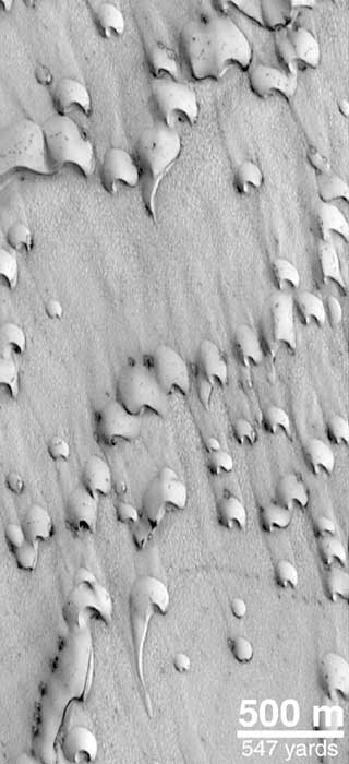 Frost-covered dunes - NASA Science