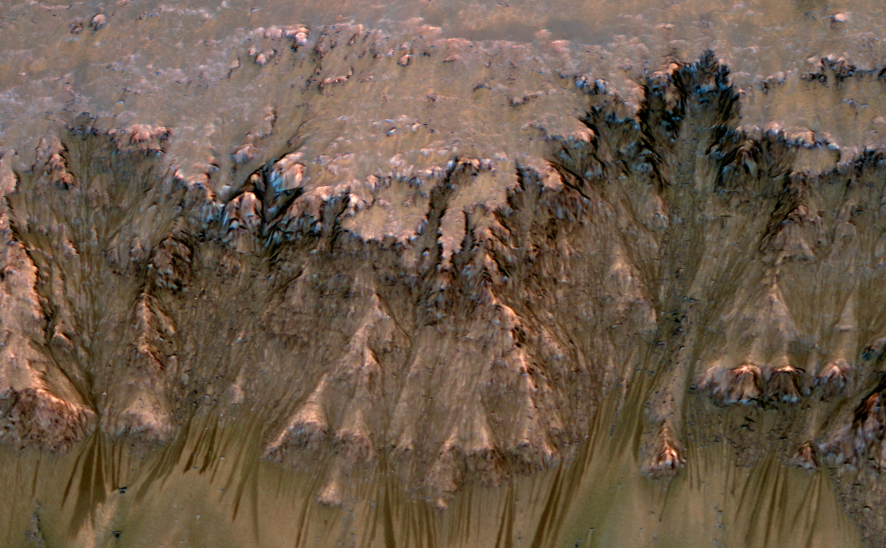 An image combining orbital imagery with 3-D modeling shows flows that appear in spring and summer on a slope inside Mars' Newton crater.