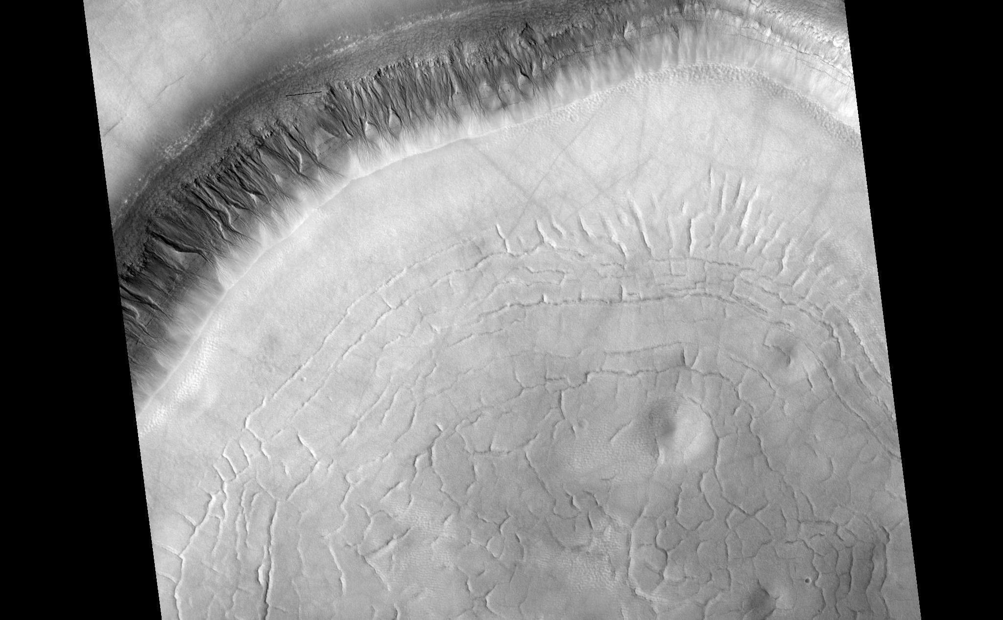 HiRISE image (PSP_001942_2310) shows a crater approximately 11 km (7 miles) in diameter, located in Acidalia Planitia, part of the Northern Plains. Several features in and around this crater are suggestive of fluids and ice at and near the surface. The south-looking (or equator facing) walls of this crater are cut by numerous gullies such as the ones shown in this image's cutout (500 x 600 m or 550 x 650 yards), with well developed alcoves, sinuous channels, and terminal fan deposits. These gullies seem to originate at the same height, suggesting that the carving agent may have emanated from one single layer exposed in the crater's wall. Contrastingly, no gullies are observed in the north-looking (or pole facing) wall of this crater. Terrestrial gullies very similar to the ones shown in this image are produced by surface water. The arrows in the cutout show fissures that may indicate detachment of surficial materials possibly held together by subsurface ice, sliding en masse down the crater's wall. The muted topography of the crater and its surroundings, the relatively shallow floor (300 m or 330 yards), the convex slope of its walls-all are consistent with ice being present under the surface, mixed with rocks and soil. Ice would have acted as a lubricant, facilitating the flow of rocks and soils and hence smoothing landscape's features such as ridges and craters' rims.The concentric and radial fissures in the crater's floor may indicate decrease of volume due to loss of underground ice. Piles of rocks aligned along these fissures and arranged forming polygons are similar to features observed in terrestrial periglacial regions such as Antarctica. Antarctica's features are produced by repeated expansion and contraction of subsurface soil and ice, due to seasonal temperature oscillations. The funnel-shaped depressions visible in the crater's floor could be collapse pits, further evidence of ice decay; alternatively, they could be smoothed-out impact craters.