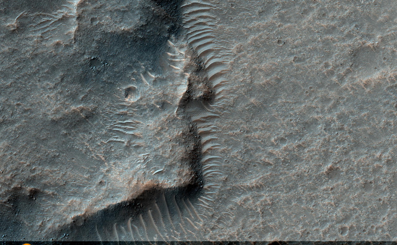 This observation shows a wrinkle ridge in Solis Planum, located in the Thaumasia region of Mars, a high-elevation volcanic plain located south of the Valles Marineris canyon system and east of the Tharsis volcanic complex. Solis Planum contains some of the most distinct and well studied arrays of wrinkle ridges on Mars.Wrinkle ridges are long, winding topographic highs and are often characterized by a broad arch topped with a crenulated ridge. These features have been identified on many other planetary bodies such as the Moon, Mercury, and Venus. On Mars, they are many tens to hundreds of kilometers long, tens of kilometers wide, and have a relief of a few hundred meters. Wrinkle ridges are most commonly believed to form from horizontal compression or shortening of the crust due to faulting and are often located in volcanic plains. They commonly have asymmetrical cross sectional profiles and an offset in elevation on either side of the ridge. Large dunes are also visible bordering the wrinkle ridge.The reddish colors seen in this image most likely indicate the presence of dust (or indurated dust) and the darker, bluish colors most likely indicate the presence of larger rocks and boulders on the wrinkle ridge.