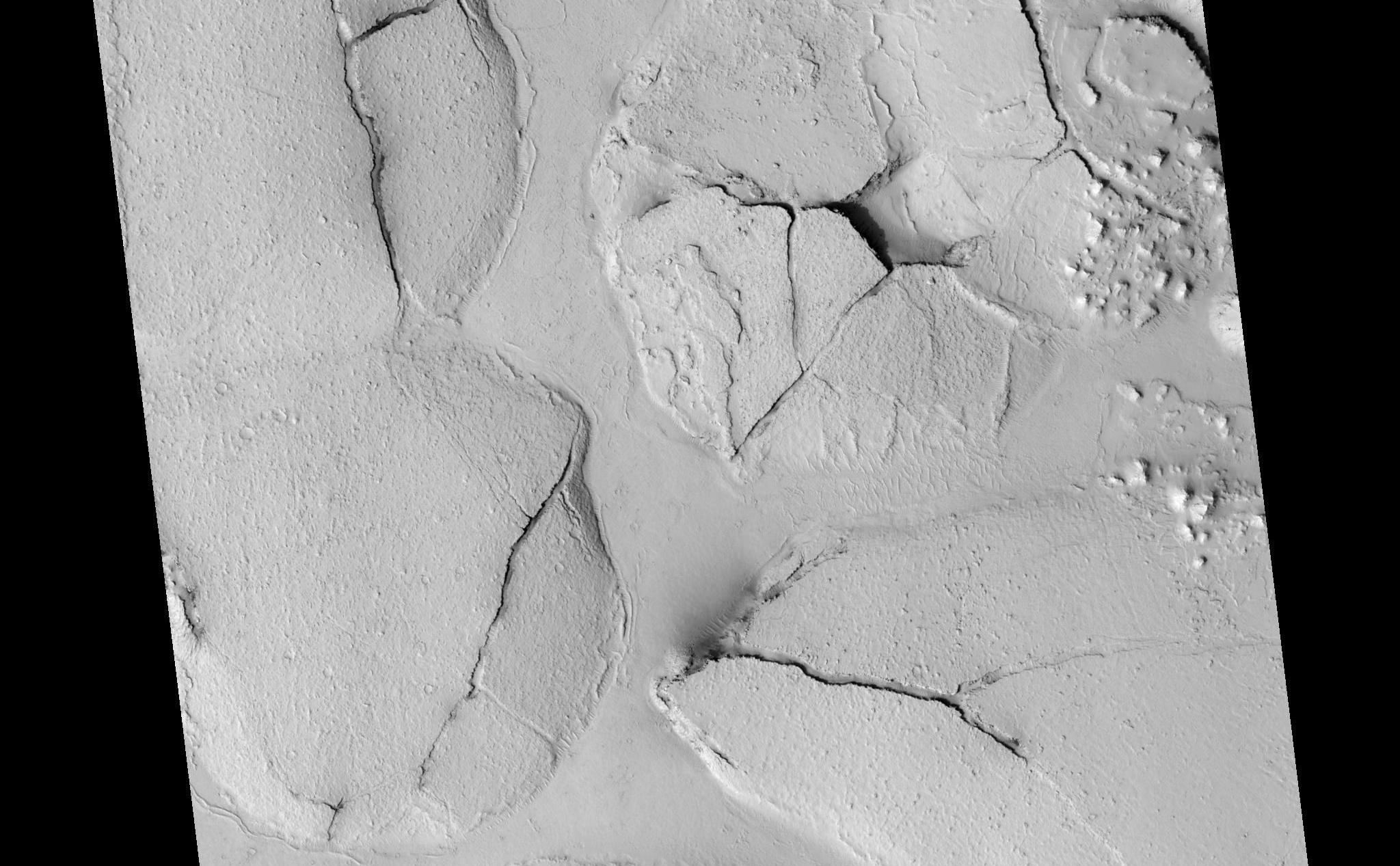 This HiRISE image (PSP_003597_1765), shows fractured mounds on the southern edge of Elysium Planitia.The mounds are typically a few kilometers in diameter and about 200 feet tall. The fractures that crisscross their surfaces are dilational (extensional) in nature, suggesting that the mounds formed by localized uplift (i.e., they were pushed up from below).The mounds are probably composed of solidified lava. They are contiguous with, and texturally similar to, the flood lavas that blanket much of Elysium Planitia, and, where dilation cracks provide cross-sectional exposure, the uplifted material is rocky.Patches of mechanically weak and disrupted material overlie the rocky mound material. This is particularly conspicuous in the northeast corner of the HiRISE image. These patches may be remnants of a layer that was once more continuous but has been extensively eroded. Smooth lava plains fill the low-lying areas between the mounds. They are riddled with sinuous pressure ridges. The entire area is covered by a relatively thin layer of dust and sand.