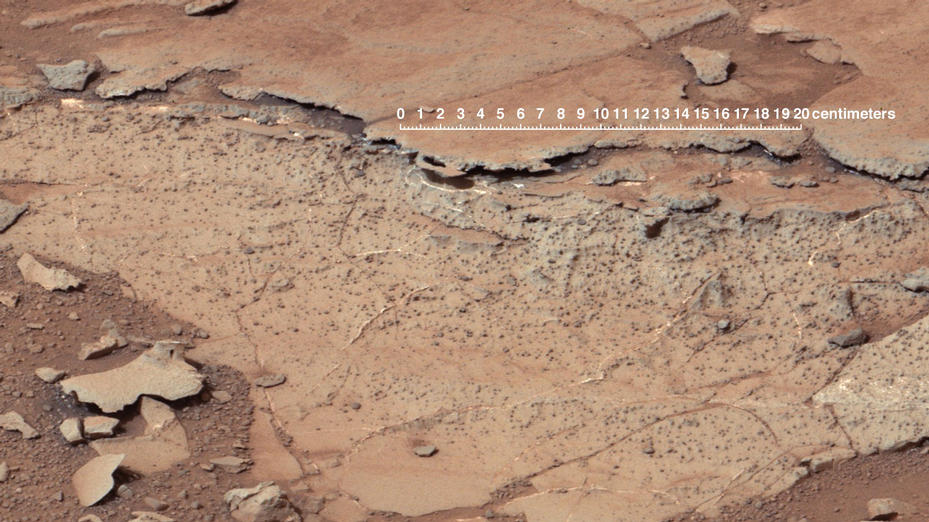 This image from the right Mast Camera (Mastcam) of NASA's Curiosity Mars rover shows roughly spherical features.