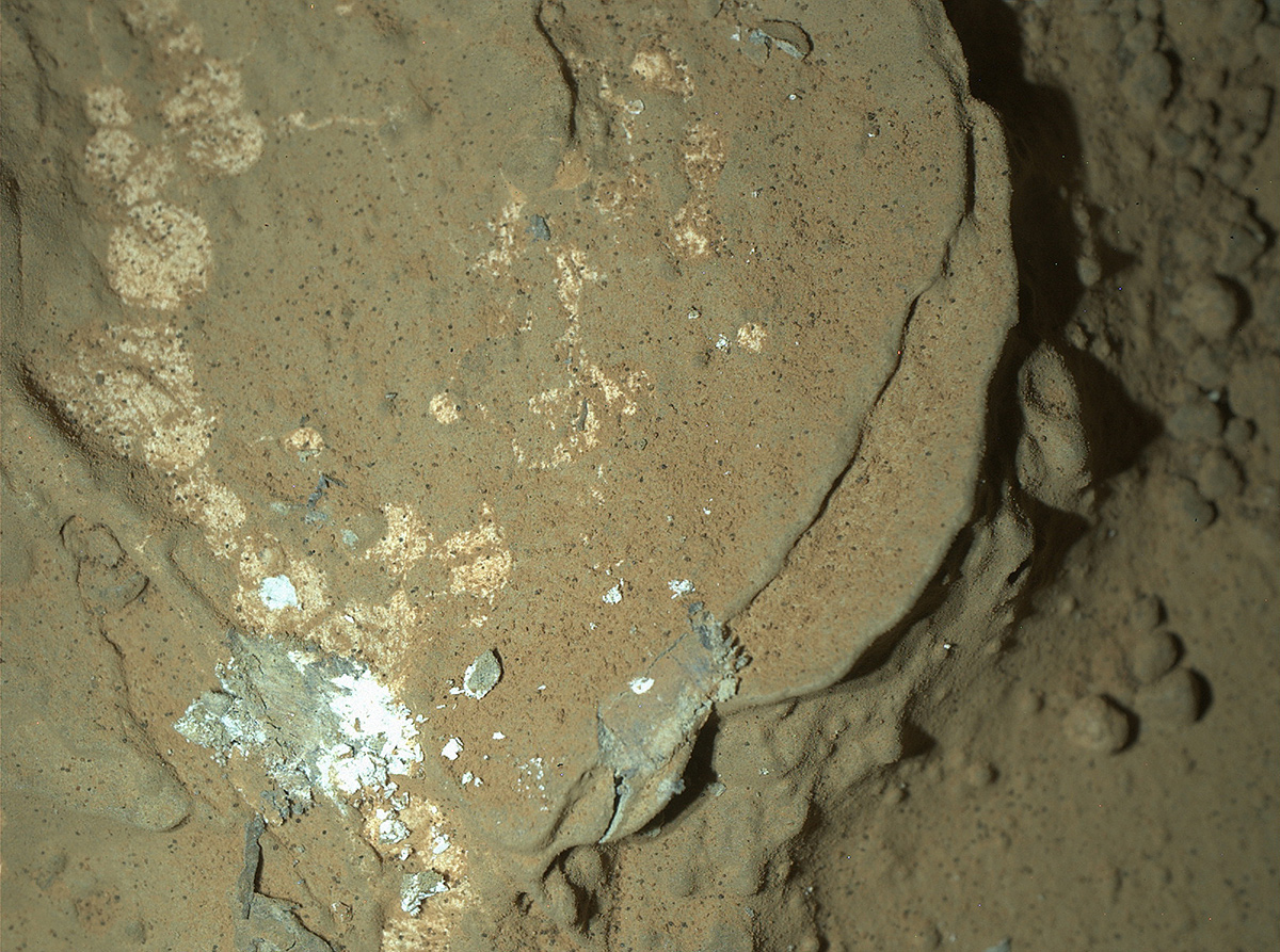 This image of a Martian rock illuminated by white-light LEDs (light emitting diodes) is part of the first set of nighttime images taken by the Mars Hand Lens Imager (MAHLI) camera at the end of the robotic arm of NASA's Mars rover Curiosity.