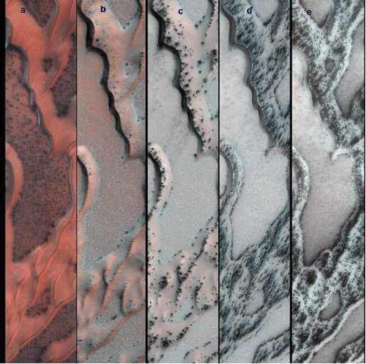 The High Resolution Imaging Science Experiment (HiRISE) camera on NASA's Mars Reconnaissance Orbiter snapped this series of false-color pictures of sand dunes in the north polar region of Mars
