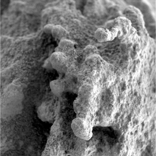 This close-up image taken by Spirit highlights the nodular nuggets that cover the rock dubbed "Pot of Gold."