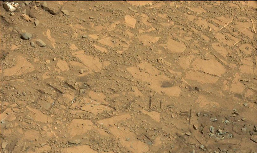 This image from the Mast Camera (Mastcam) on NASA's Curiosity Mars rover shows a portion of the pale rock outcrop that includes the "Bonanza King" target chosen for evaluation as the mission's fourth rock-drilling site.
