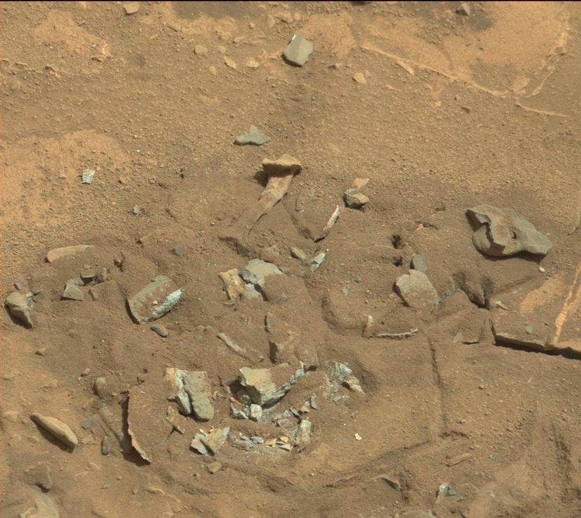 This Mars rock may look like a femur thigh bone, but its shape is likely sculpted by erosion, either wind or water.