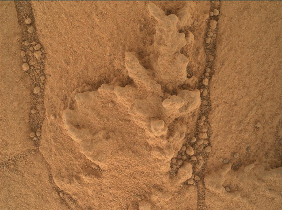 This image from the Mars Hand Lens Imager (MAHLI) camera on NASA's Curiosity Mars rover shows an example of a type of geometrically distinctive feature that researchers are examining at a mudstone outcrop at the base of Mount Sharp.