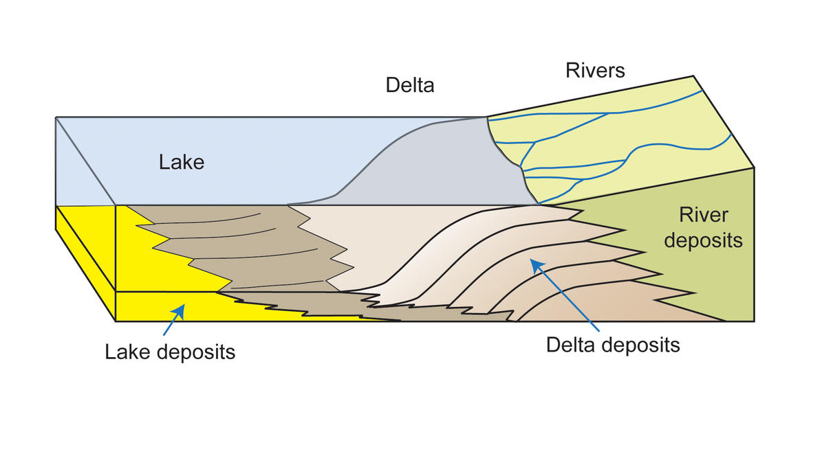 This diagram depicts rivers entering a lake. Where the water's flow decelerates, sediments drop out, and a delta forms, depositing a prism of sediment that tapers out toward the lake's interior. Progressive build-out of the delta through time produces sediments inclined toward the lake body.