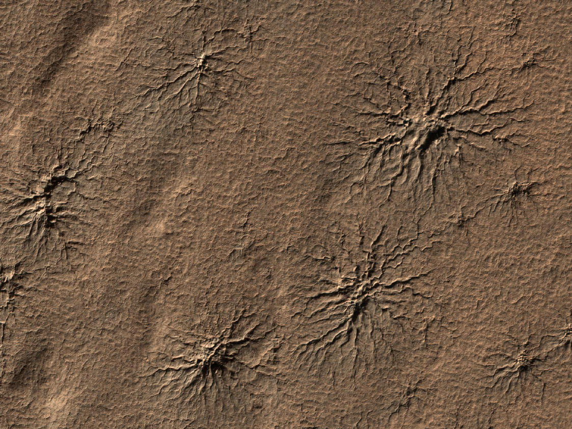 What appear to be spiders scampering across the martian landscape are actually cracks in the surface of the southern polar region on Mars, seen by the Mars Reconnaissance Orbiter on August 23, 2009.  Caused as carbon dioxide ice evaporates and escapes into the atmosphere, there is no escaping that these "araneiform" features look like our 8 legged friends!