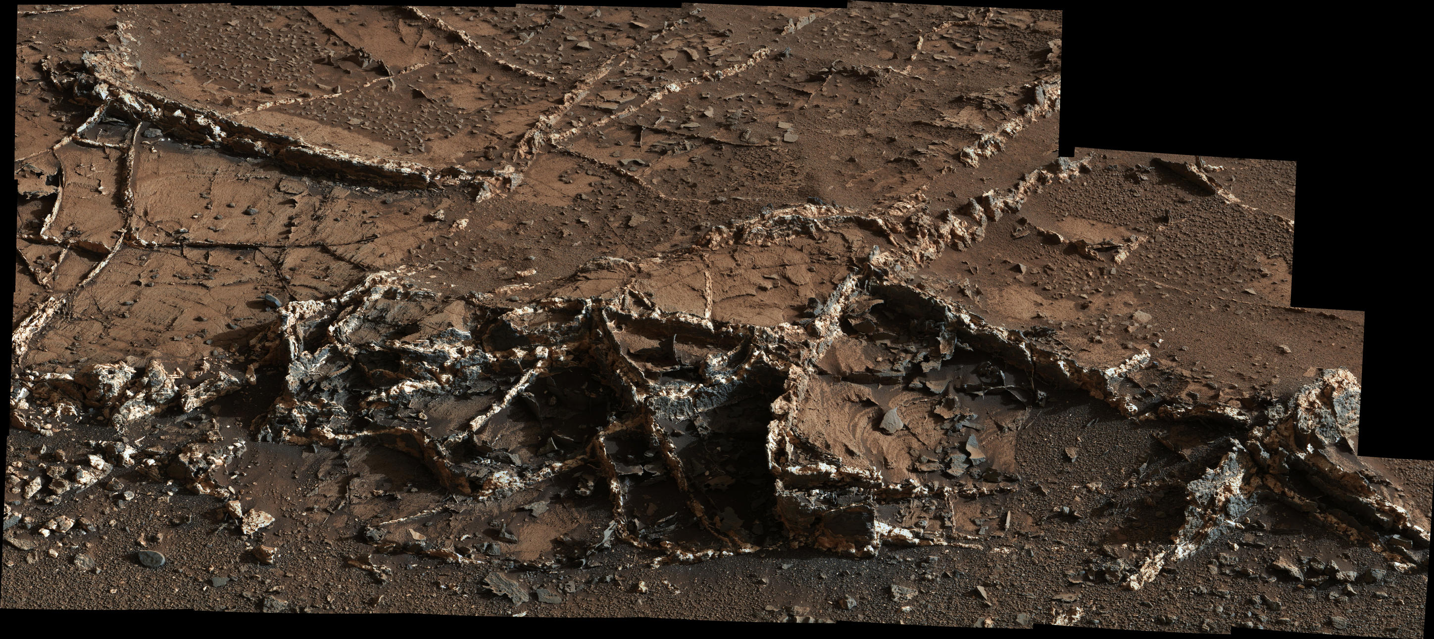 This March 18, 2015, view from the Mast Camera on NASA's Curiosity Mars rover shows a network of two-tone mineral veins at an area called "Garden City" on lower Mount Sharp.