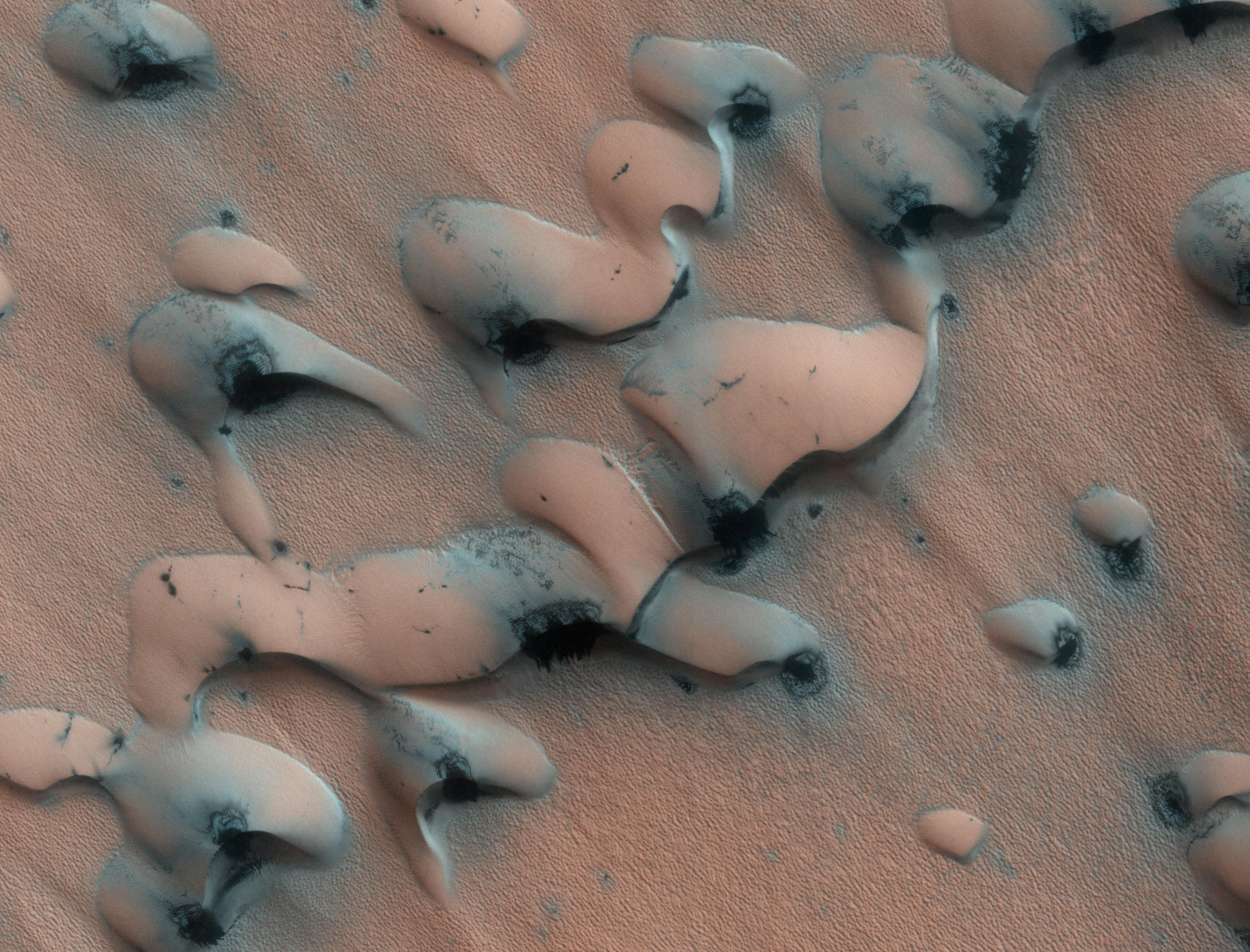 This image shows dunes near the north pole of Mars. The north pole is surrounded by a vast "sea" of basaltic sand dunes, and the dunes imaged here are similar to barchan dunes that are commonly found in desert regions on Earth.