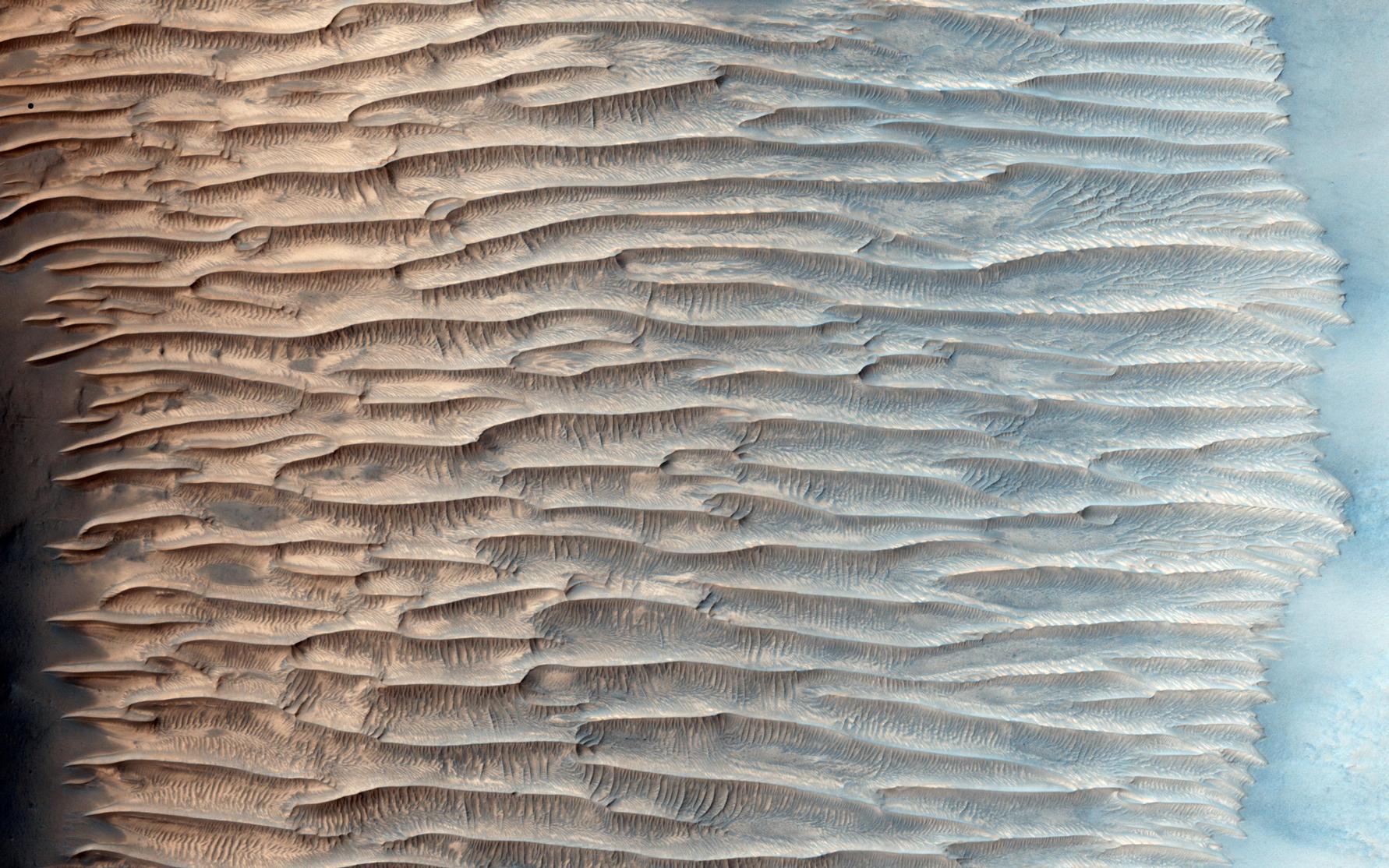 This HiRISE image shows a valley filled with an assortment of linear ridges. These ridges are often referred to as transverse aeolian ridges, or TAR, and they take a variety of forms.