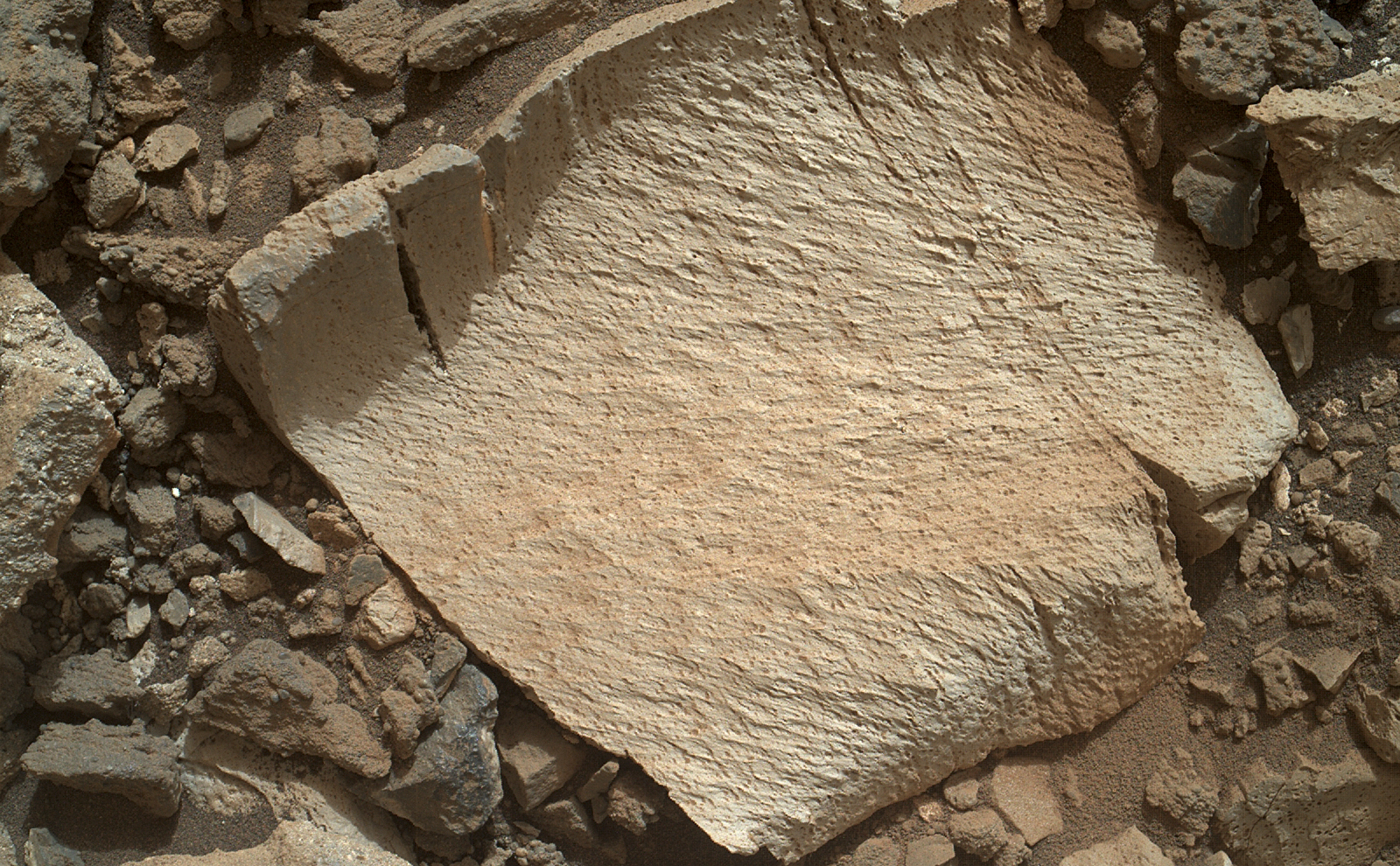 A rock fragment dubbed "Lamoose" is shown in this picture taken by the Mars Hand Lens Imager (MAHLI) on NASA's Curiosity rover.