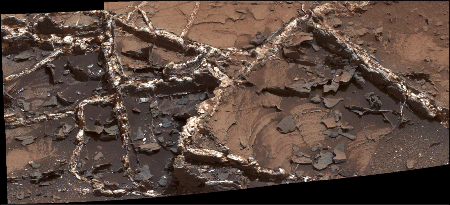 Prominent mineral veins at the "Garden City" site examined by NASA's Curiosity Mars rover vary in thickness and brightness, as seen in this image from Curiosity's Mast Camera (Mastcam). The image covers and area roughly 2 feet across.