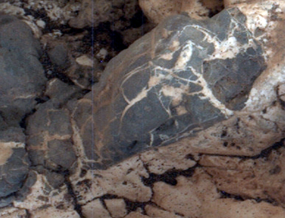 Light material emplaced within darker vein material is seen in this view of a mineral vein at the "Garden City" site on lower Mount Sharp, Mars.  The Mars Hand Lens Imager (MAHLI) on the arm of NASA's Curiosity Mars Rover took the image on April 4, 2015. The area shown is roughly 0.4 inch wide.