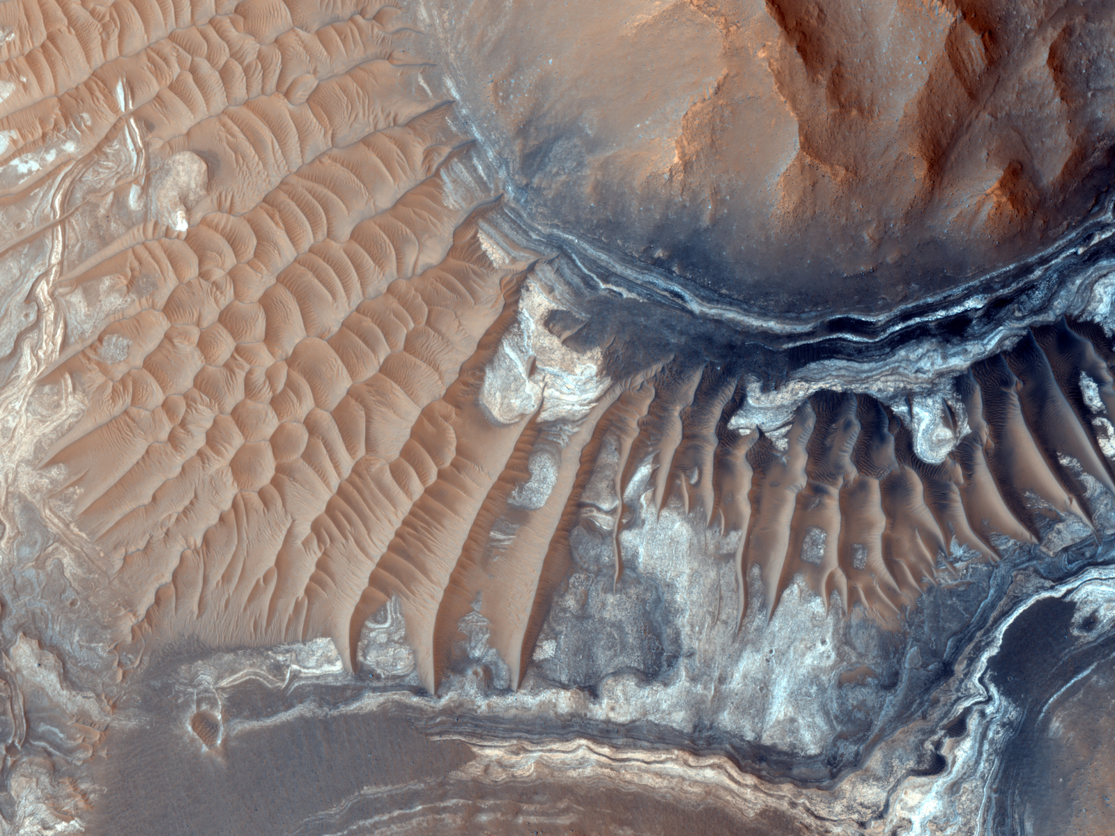 CRISM observations of this region of the Noctis Labyrinthus formation have shown indications of iron-bearing sulfates and phyllosilicate (clay) minerals.