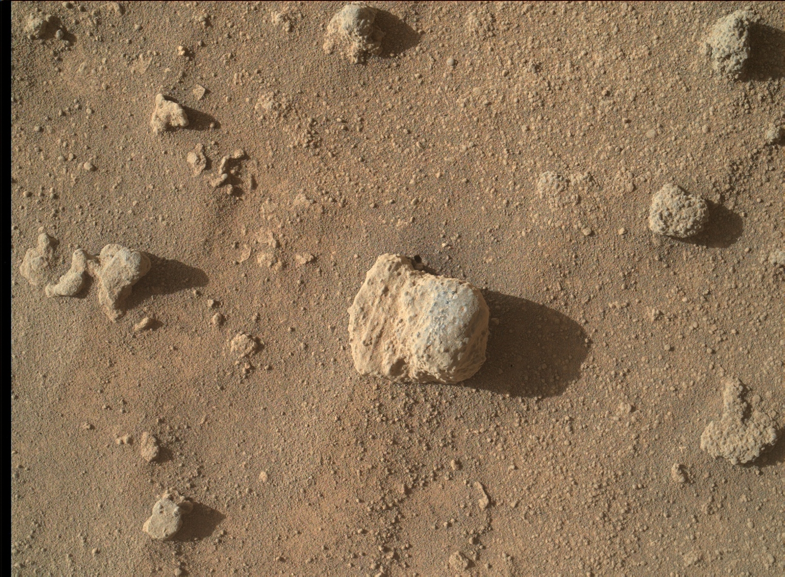 The nodule in the center of this March 10, 2016, image from the Mars Hand Lens Imager (MAHLI) on NASA's Curiosity Mars rover shows individual grains of sand and (on the right) laminations from the sandstone deposit in which the nodule formed..