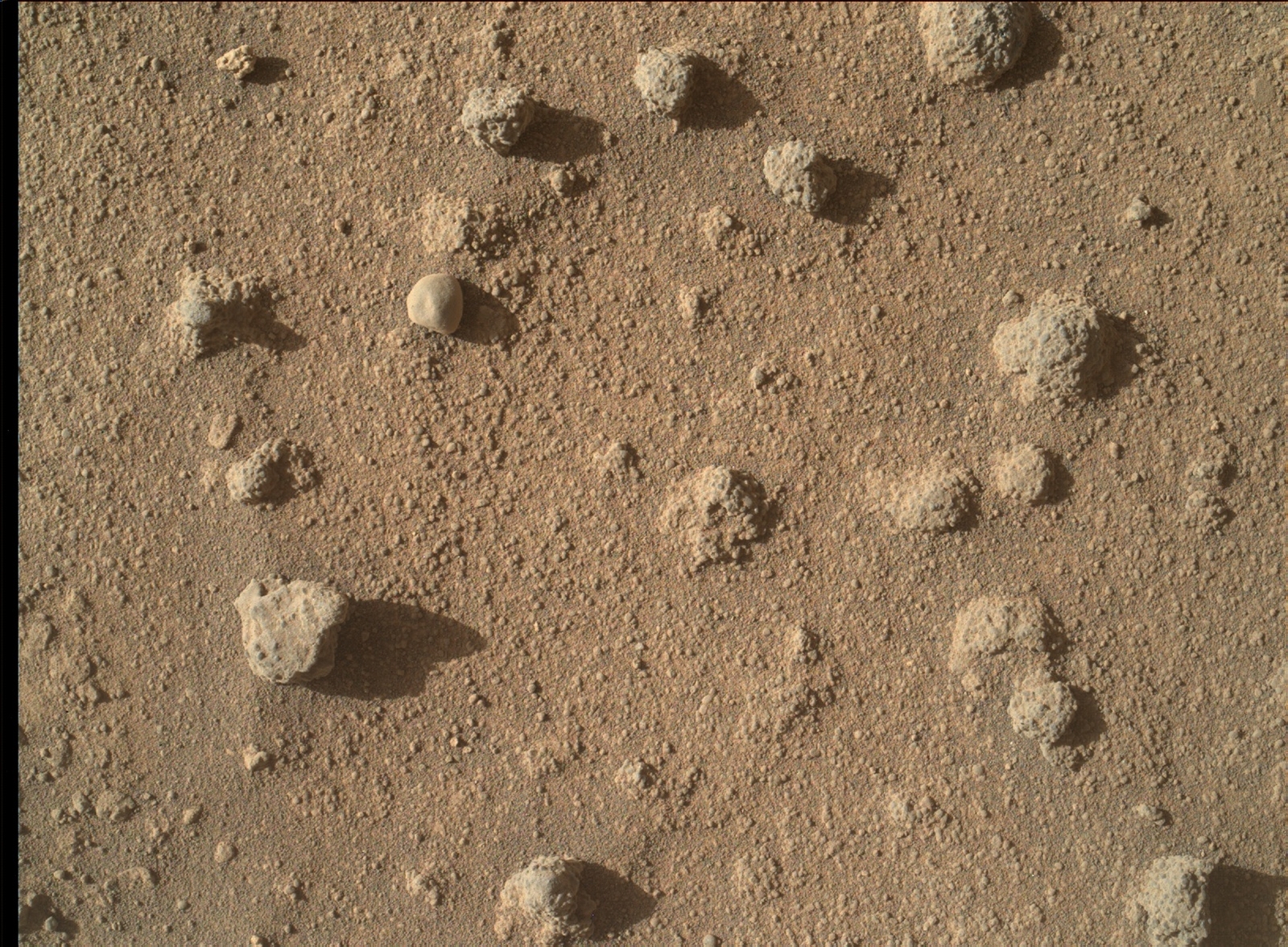 This view shows nodules exposed in sandstone that is part of the Stimson geological unit on Mount Sharp, Mars.  The nodules can be seen to consist of grains of sand cemented together.