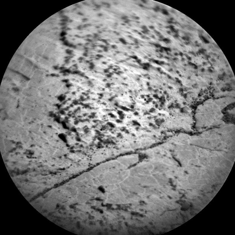 small, dark nodules embedded in a Mars rock