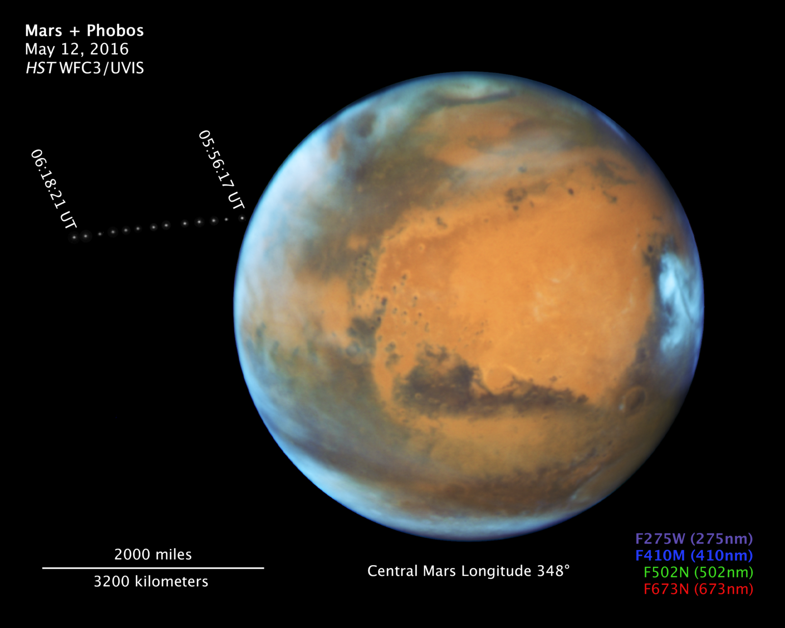 While photographing Mars, NASA's Hubble Space Telescope captured a cameo appearance of the tiny moon Phobos on its trek around the Red Planet. Discovered in 1877, the diminutive, potato-shaped moon is so small that it appears star-like in the Hubble pictures. Phobos orbits Mars in just 7 hours and 39 minutes, which is faster than Mars rotates. The moon's orbit is very slowly shrinking, meaning it will eventually shatter under Mars' gravitational pull, or crash onto the planet. Hubble took 13 separate exposures over 22 minutes to create a time-lapse video showing the moon's orbital path.
