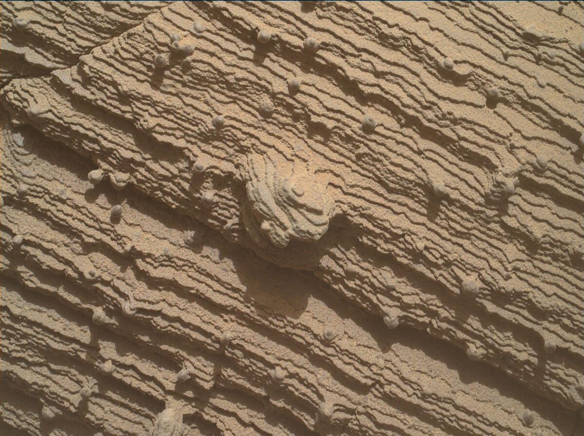 MAHLI best focus image from a Sol 3605 six-frame mosaic of the “Tapirapeco” target on our drill site block.