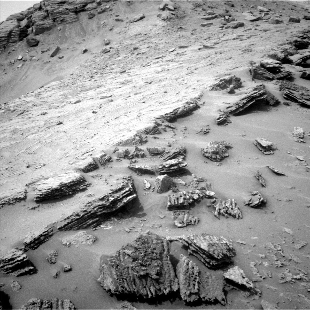This image was taken by Left Navigation Camera onboard NASA's Mars rover Curiosity on Sol 3642.