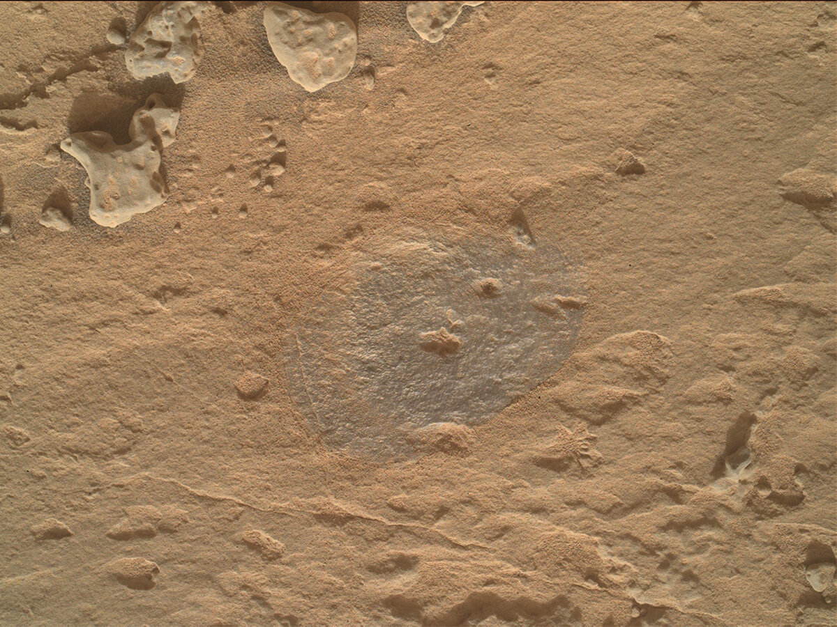ASA's Mars rover Curiosity acquired this image of a rock face using its Mars Hand Lens Imager (MAHLI) on January 19, 2023, Sol 3716 of the mission.