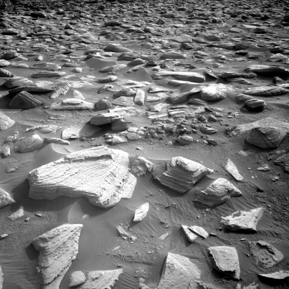 This image was taken by Left Navigation Camera onboard NASA's Mars rover Curiosity on Sol 3948.