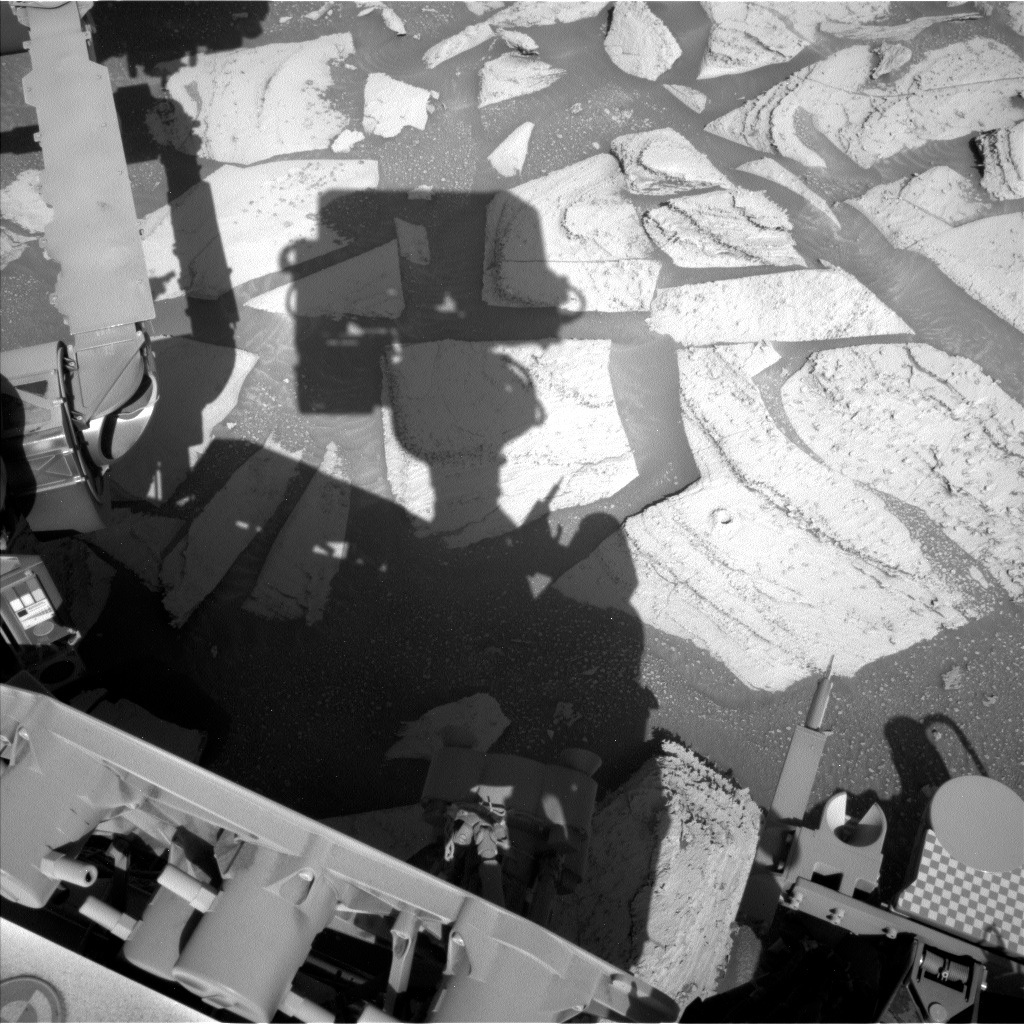 This image was taken by Left Navigation Camera onboard NASA's Mars rover Curiosity on Sol 3981.