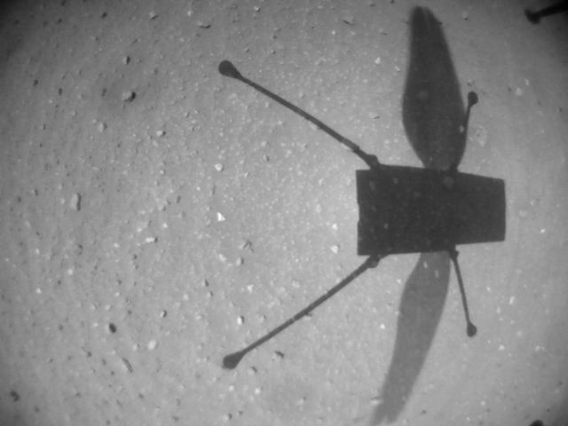 NASA's Ingenuity Mars Helicopter acquired this image using its navigation camera. This camera is mounted in the helicopter's fuselage and pointed directly downward to track the ground during flight.