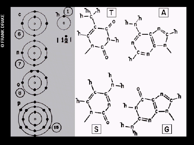 Printed diagrams for atomic weights for hydrogen, carbon, nitrogen, oxygen, and sulfur, and molecular structures