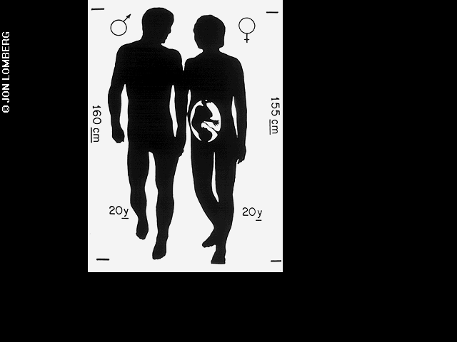 Silhouette diagram of the male and pregnant female human bodies, with age and height measurements
