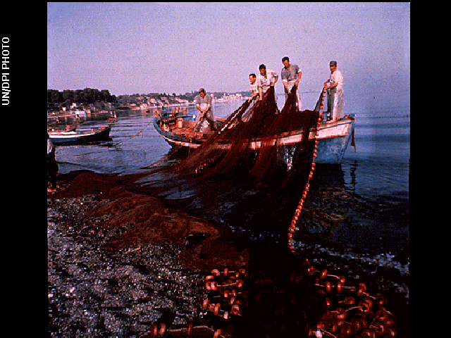 Five men stand on a small boat, pulling a fishing net from the water near the coast
