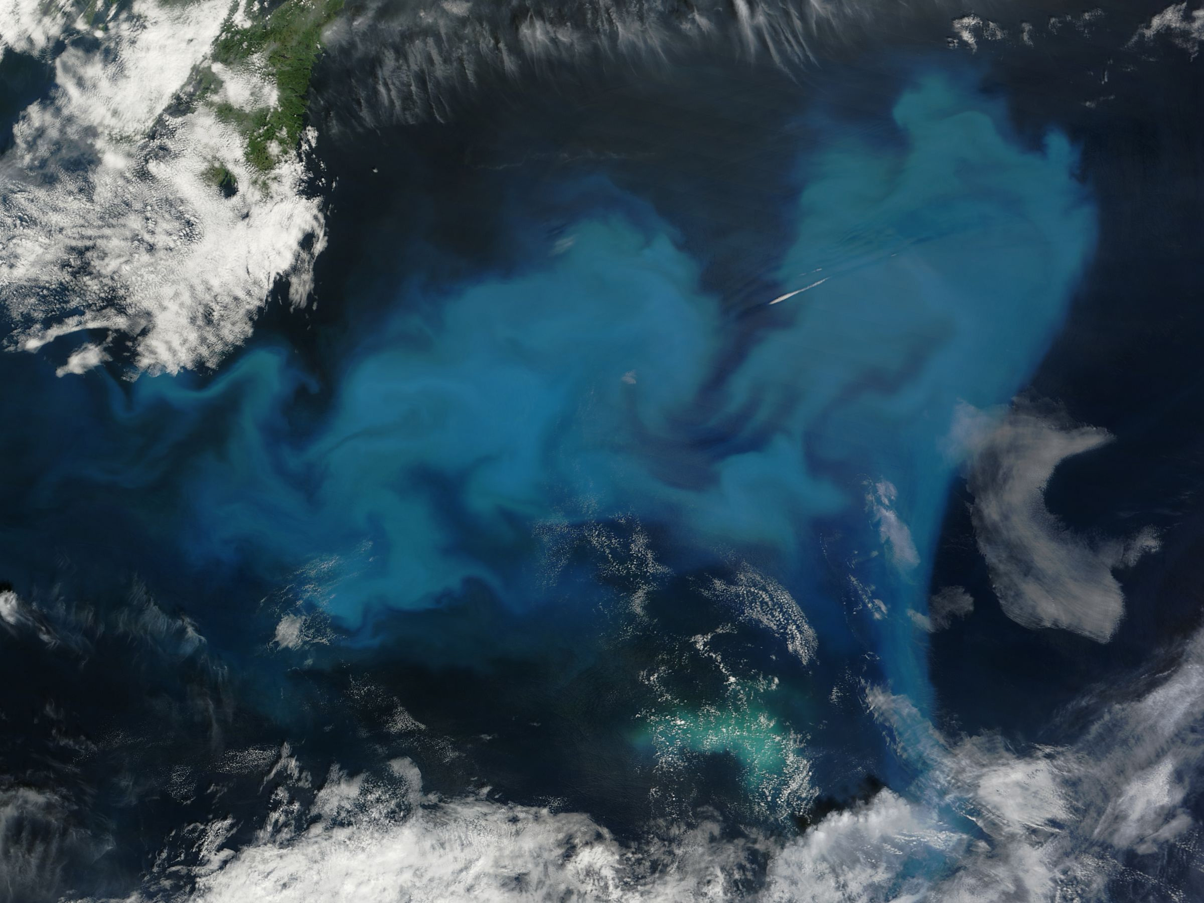 The image is a satellite view, peering down on the ocean. The background of the image is the dark blue color of the ocean, but centered in the image is a swirling shape of light blue, milky substance – phytoplankton making up a bloom. In the foreground of the image are bright white clouds, seen in the top left corner and along the bottom of the image.