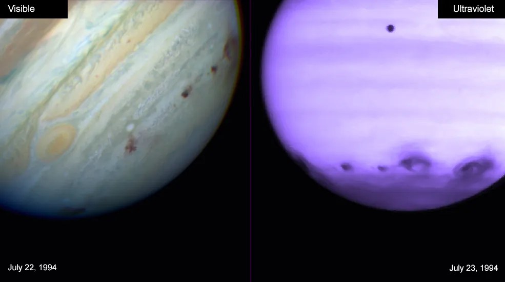 Two images side by side of Jupiter, on the left side showing the planet with white, tan, green and brown swirls with 4 dark spots at the bottom that show the impact of the comets hitting and on the right side, the planet in purple and white swirls show 4 dark swirls at the bottom showing the impact of the comets hitting.