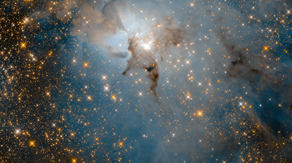A star studded view of space with a large star at the center with gas clouds surround it.