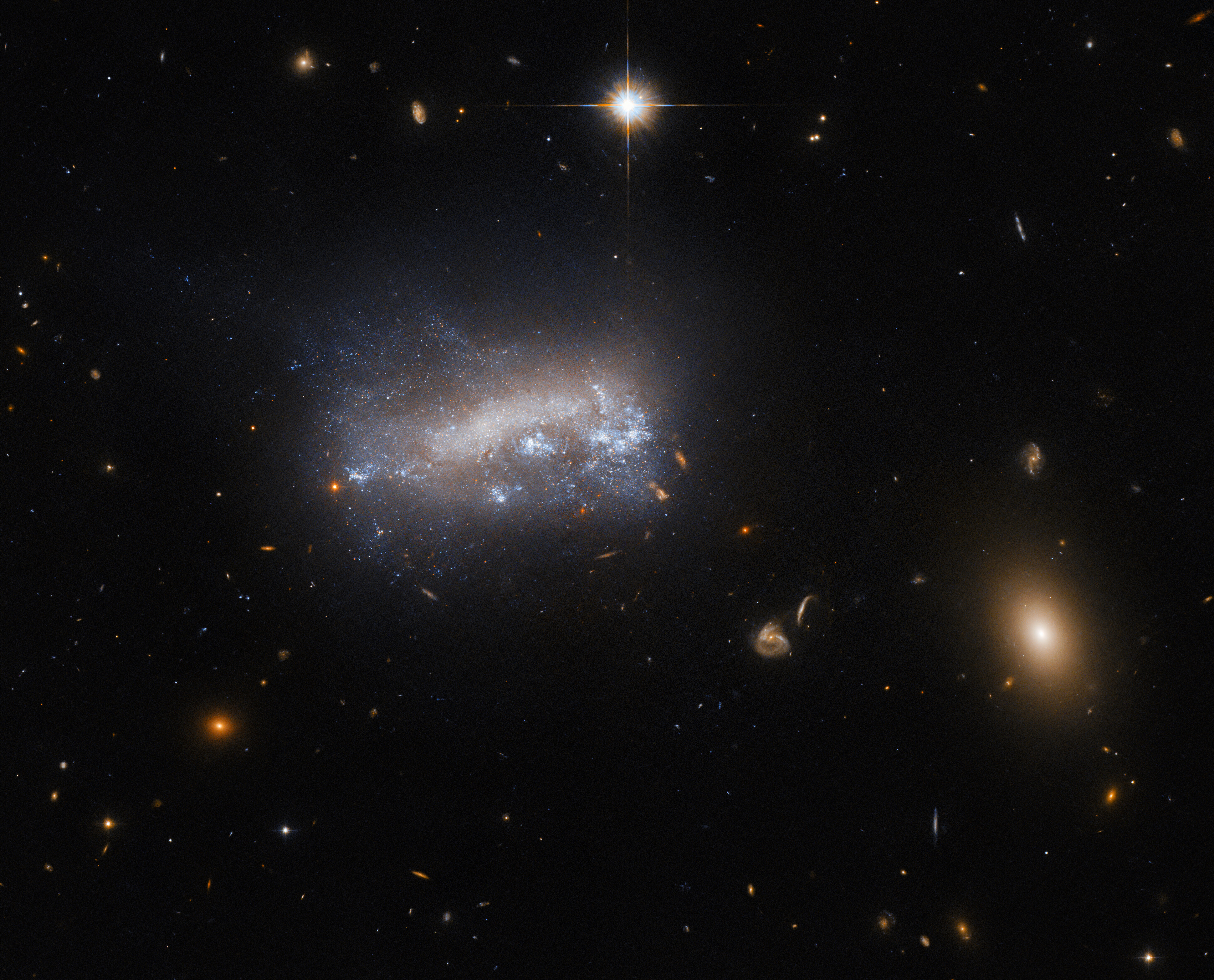 A distorted dwarf galaxy, obscured by dust and by bright outbursts caused by star formation, floats roughly in the center. Tendrils of gas stretch up from the plane of the galaxy. A few distant galaxies are visible in the background around it, many as little spirals, and also including a prominent elliptical galaxy. A bright star hangs above the galaxy in the foreground, marked by cross-shaped diffraction spikes.