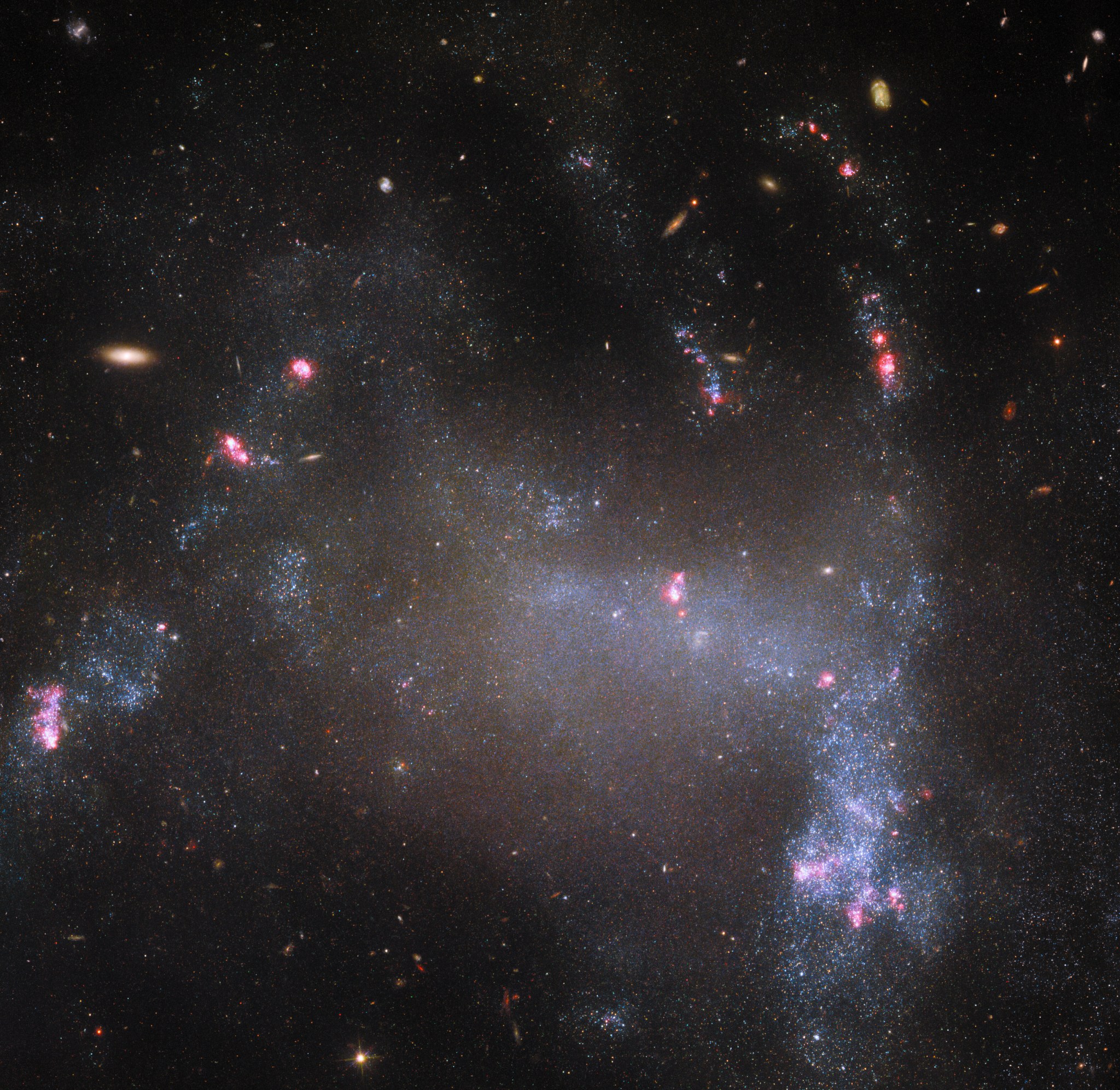 An irregular galaxy with a large central body of dull-colored stars and distorted arms around it. Brightly glowing pink areas where stars are forming dot the arms, along with bluish gas that is brighter than the galactic core. Two large arms flank the left and right of the body, and smaller streams of stars emerge from the top. Other distant galaxies are visible on the edges of the image.