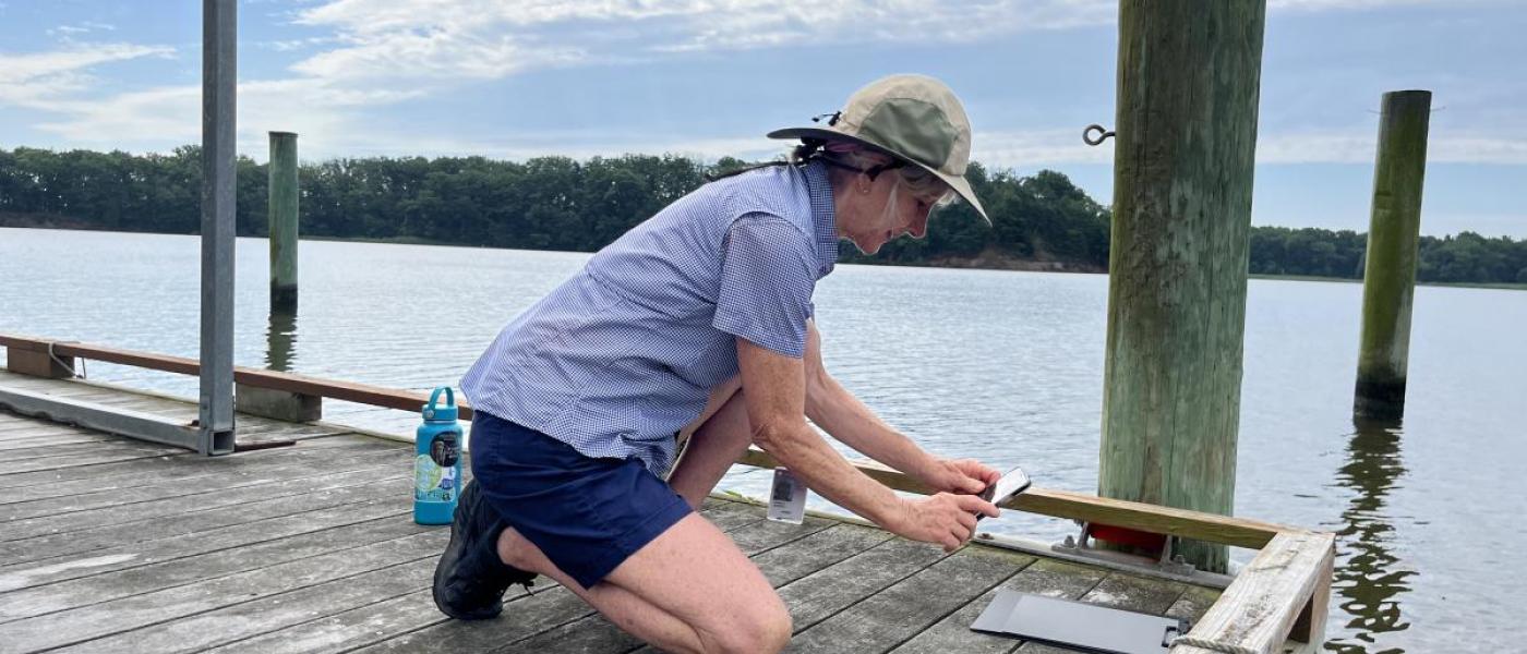 A woman wearing a sun hat, short sleeve shirt, and shorts kneels on a dock in the bay. The cell phone in her hands is aimed at a grey piece of paper on her clipboard, which is the reference image that calibrates water color. The far shore is covered in trees.