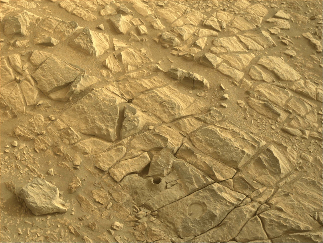 Image taken was taken by the Mars Perseverance rover after collecting the rock sample 14 at Shuyak. Nearby the drill hole of the sample collection is an abrasion patch to the bottom right.