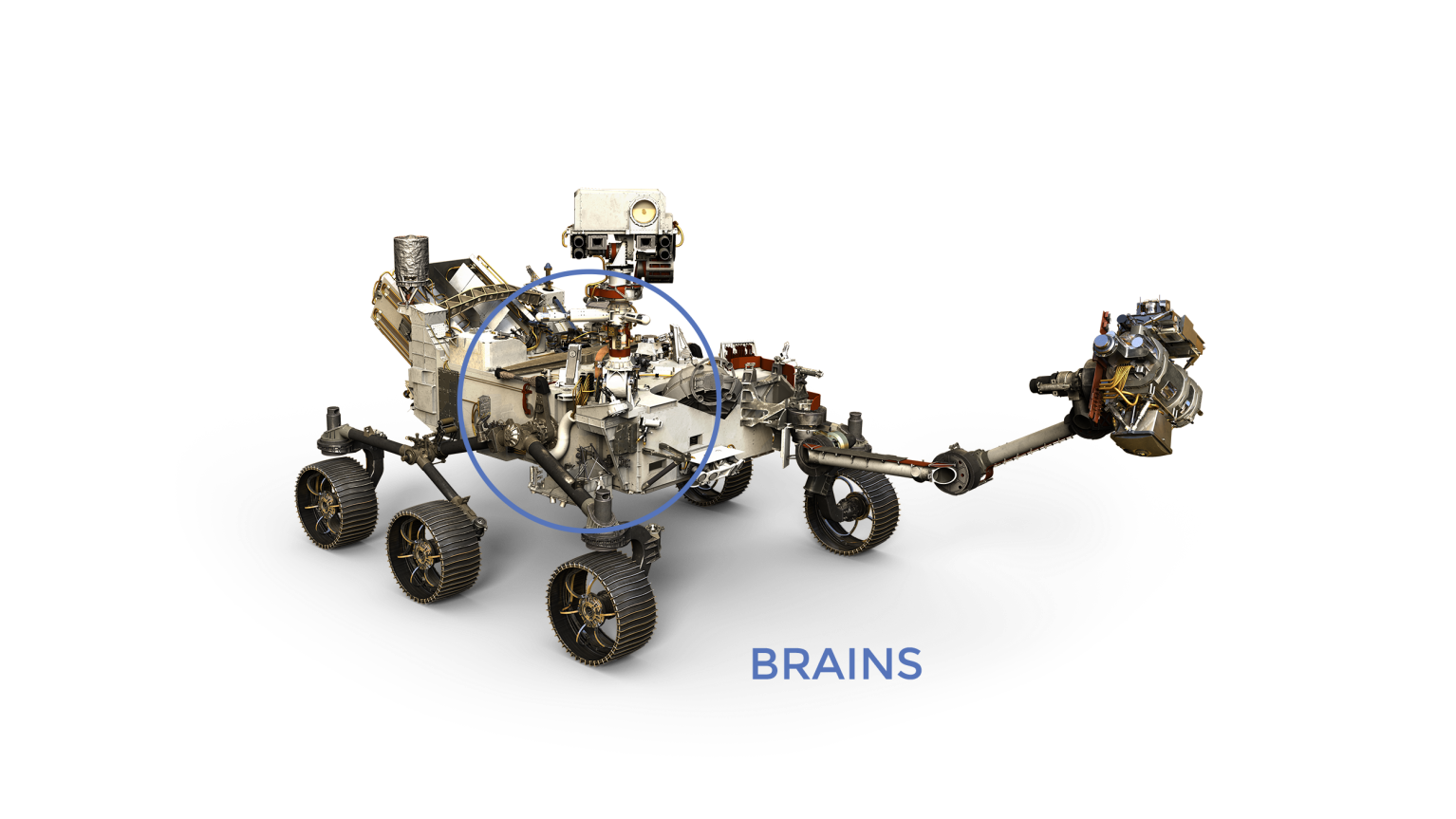 Perseverance Rover brains labeled on model