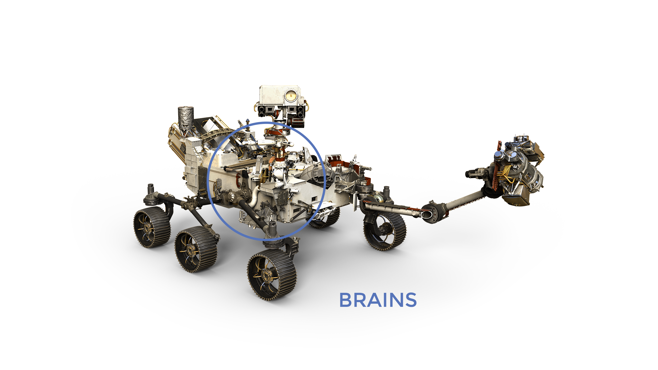 Perseverance Rover brains labeled on model
