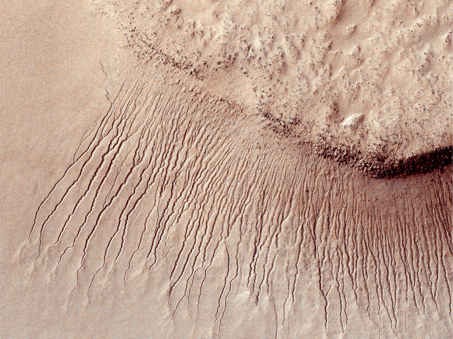 Images like this from the High Resolution Imaging Science Experiment (HiRISE) camera on NASA's Mars Reconnaissance Orbiter show portions of the Martian surface in unprecedented detail. This one shows many channels from 1 meter to 10 meters (approximately 3 feet to 33 feet) wide on a scarp in the Hellas impact basin.