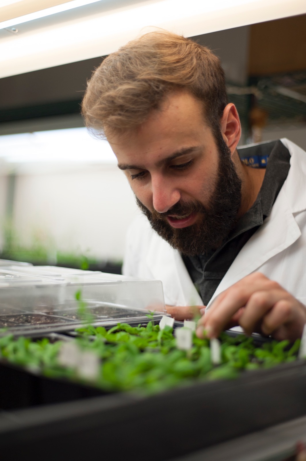 Borja Barbero is donned in a white coat. He looks down on green plants that sit in a black tray. He touches one of the plants with his finger.