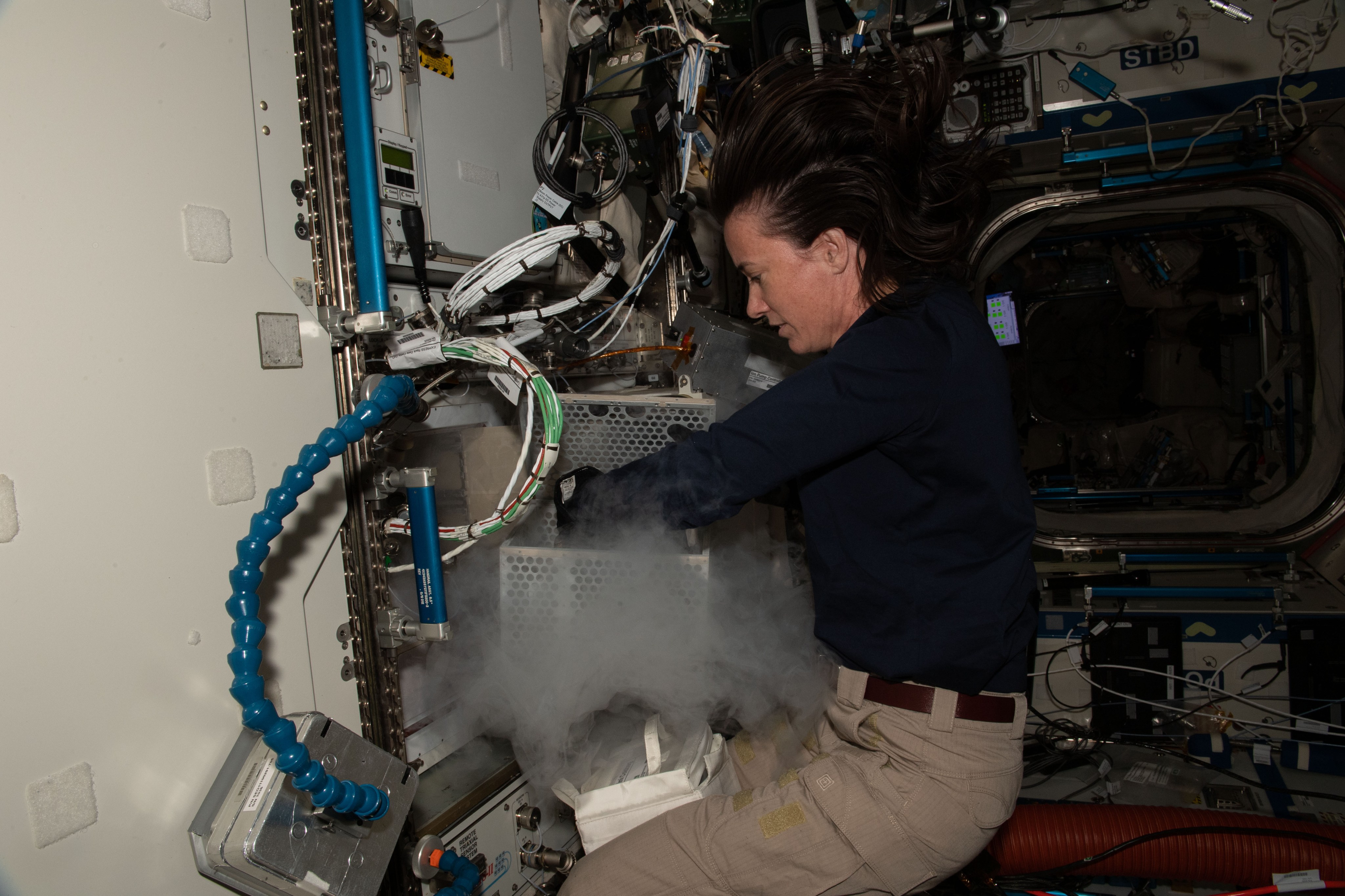 A woman donned in tan pants and a navy-blue top handles equipment on the International Space Station.