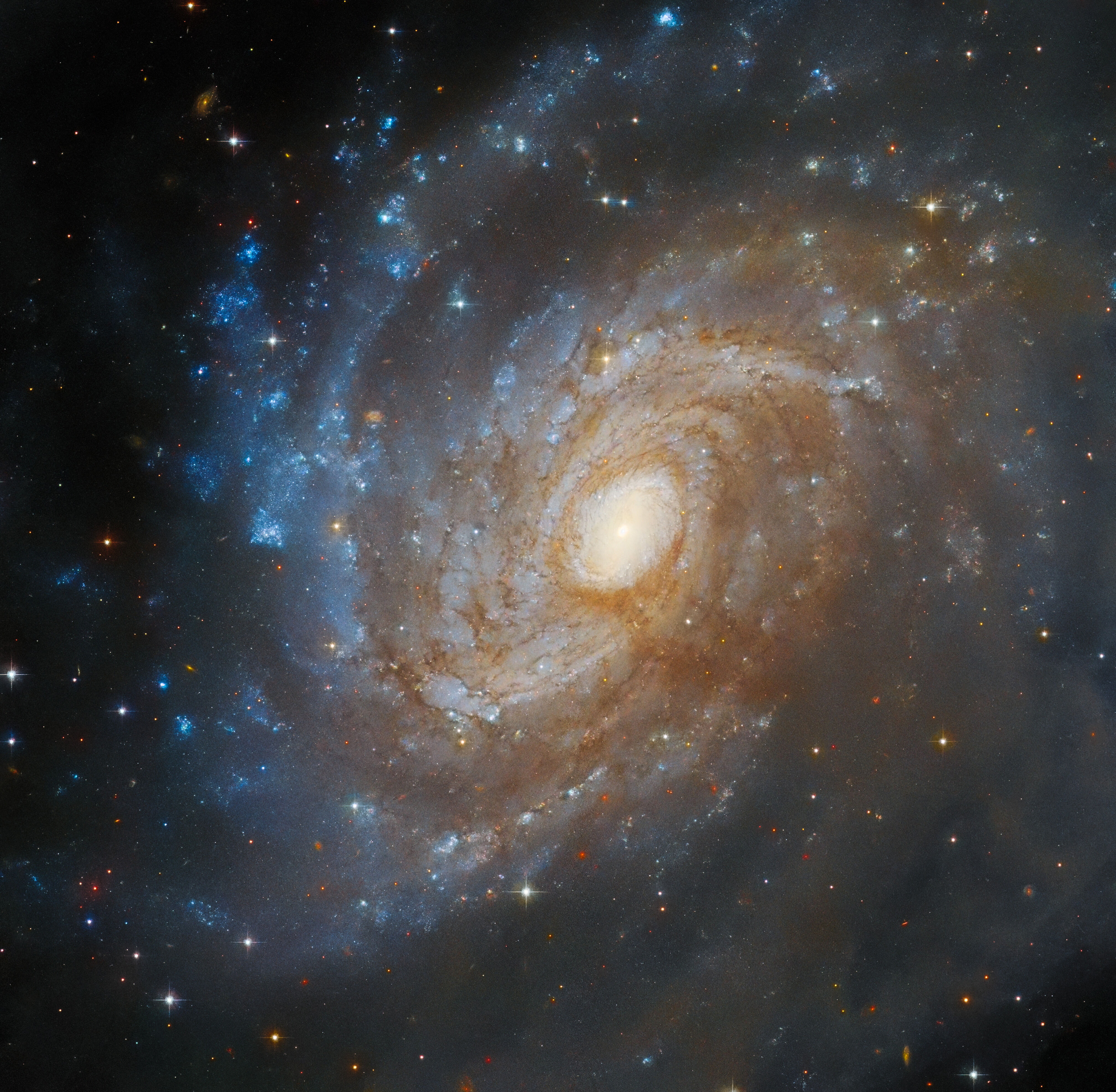Una galaxia espiral vista casi de frente. El disco sostiene muchos brazos espirales fuertemente enrollados. Contienen pequeñas hebras de polvo rojizo, cerca del centro. En el lado izquierdo, el disco presenta parches brillantes de formación estelar. Todo el lado derecho, y parte del centro, está oscurecido por una gran nube de gas gris oscuro que cruza la imagen.]