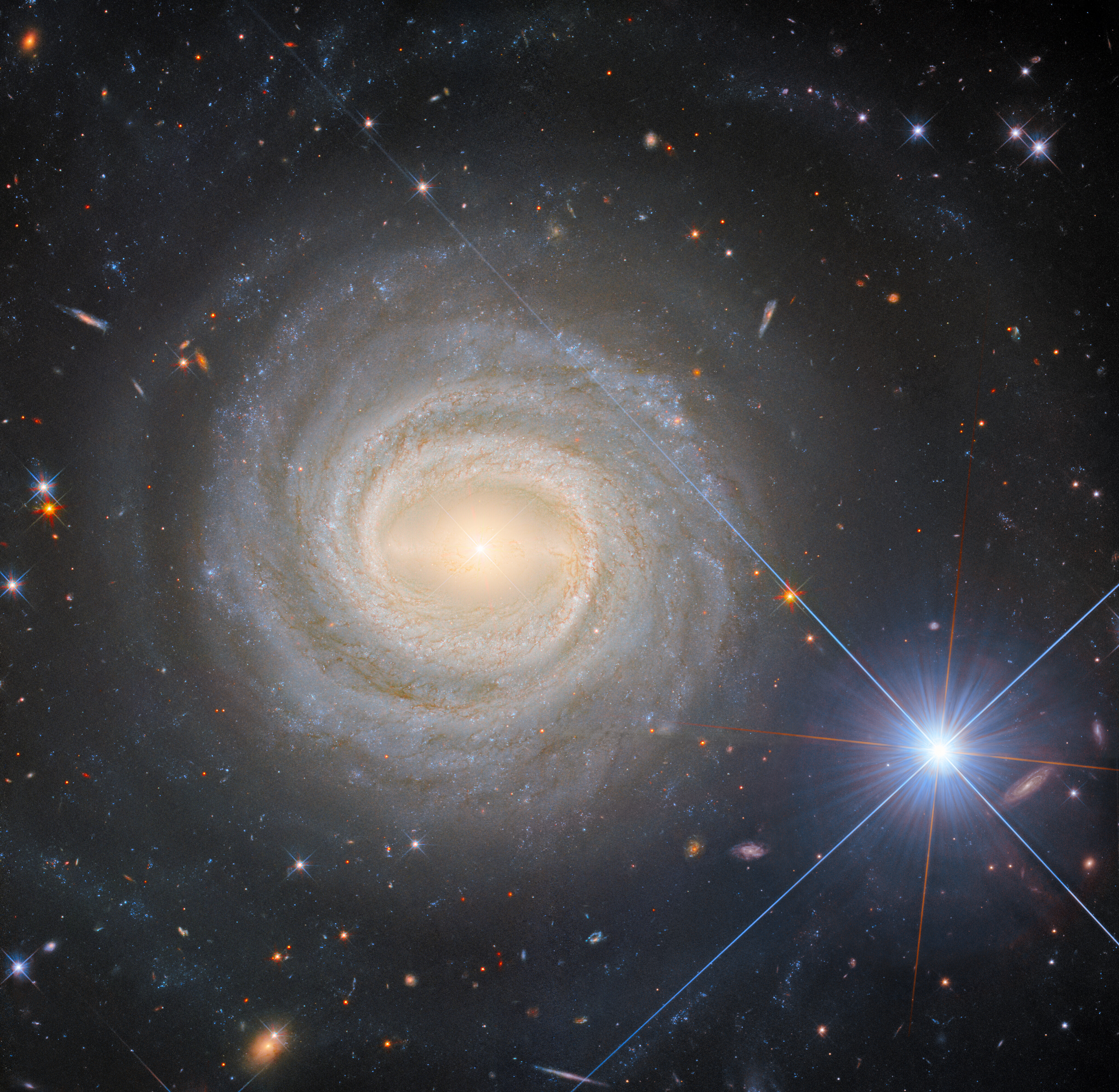 A spiral galaxy, seen face-on to the viewer. The bright center of the galaxy is crossed by a glowing bar, and it is surrounded by tightly wound spiral arms, forming a circular shape with relatively clear edges. Faraway galaxies are visible around it, along with a few bright stars, on a dark background. One star to the right of the galaxy is very large and extremely bright with long diffraction spikes.