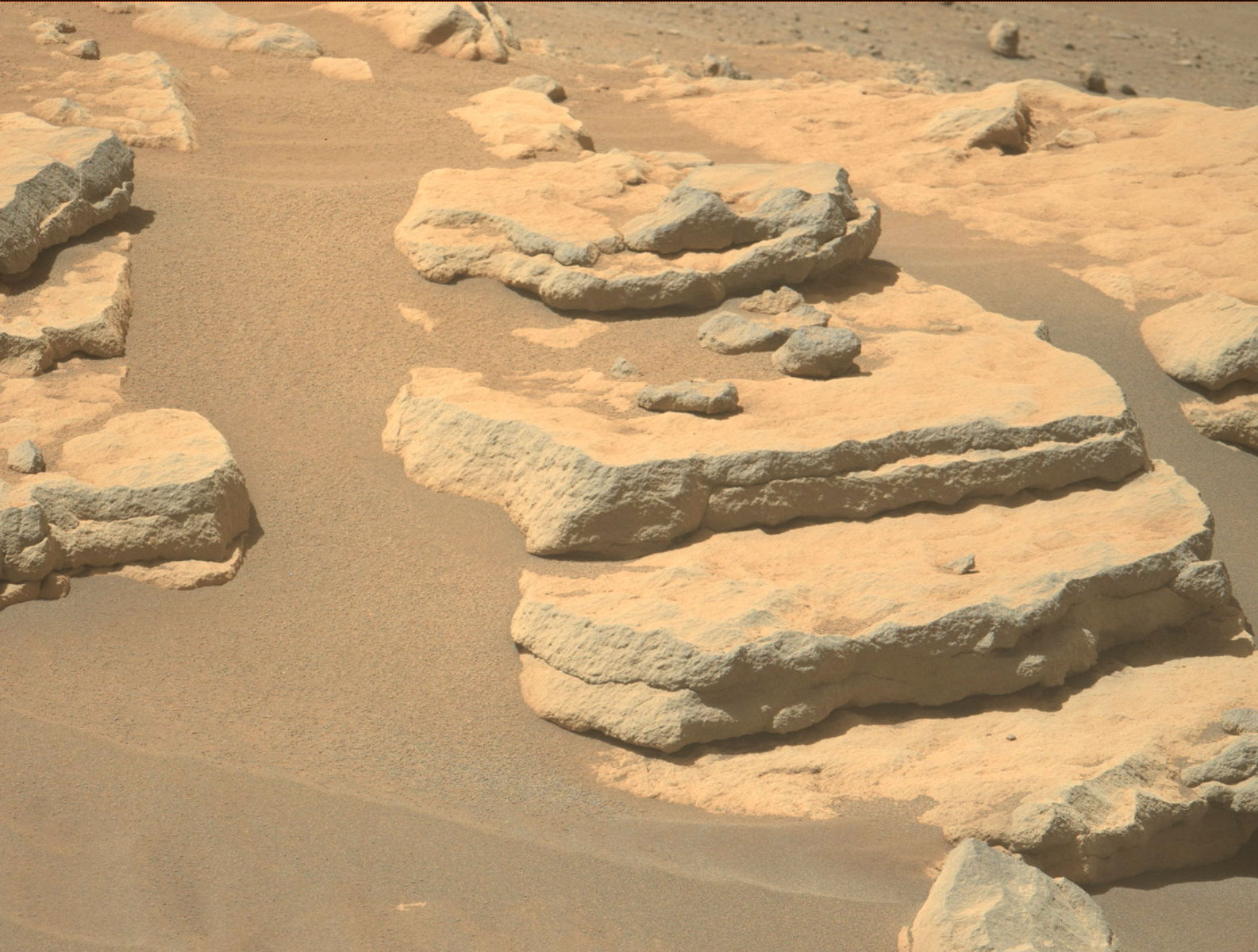 NASA's Mars Perseverance rover acquired this image using its Left Mastcam-Z camera. The image shows the terrain of Mars with some rocky soil.