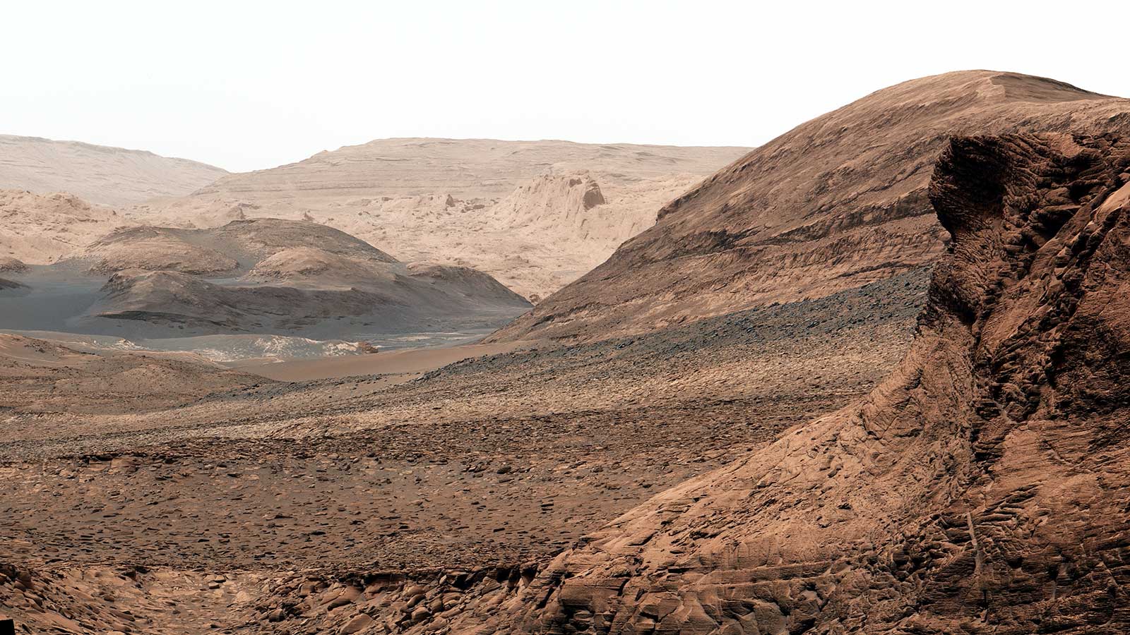 A sprawling landscape of ridges and valleys on Mars.